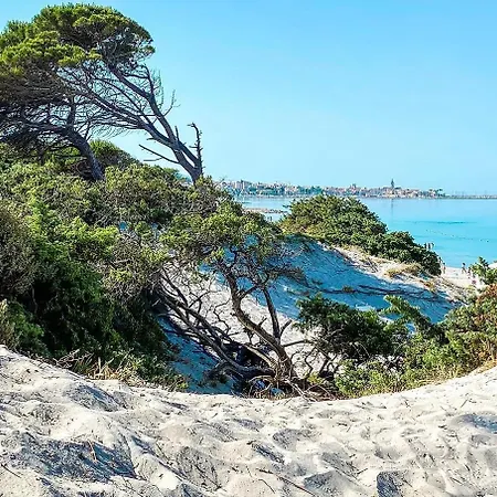 C1 C2 C3 Alghero