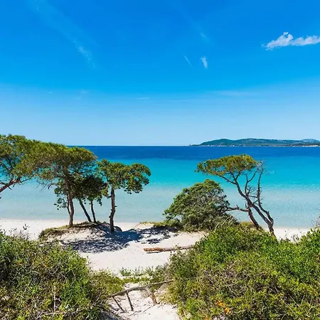 Apartamento C1 C2 C3 Alghero